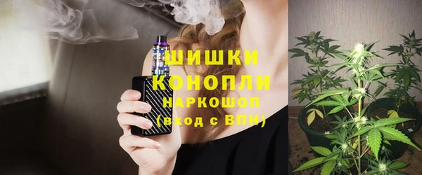 PSILOCYBIN Верхний Тагил