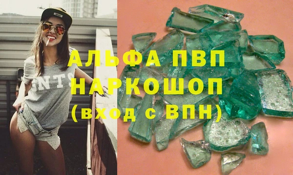 PSILOCYBIN Верхний Тагил