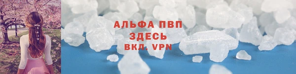 PSILOCYBIN Верхний Тагил