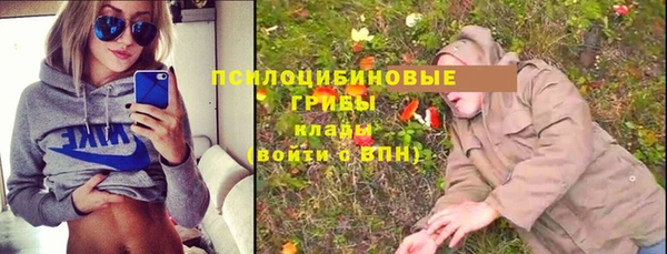 PSILOCYBIN Верхний Тагил