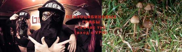 PSILOCYBIN Верхний Тагил